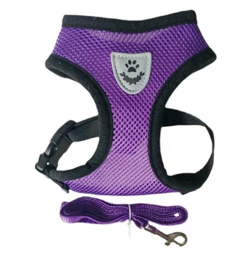 Mesh Dog Harness & Lead Set | Breathable No-Pull Design