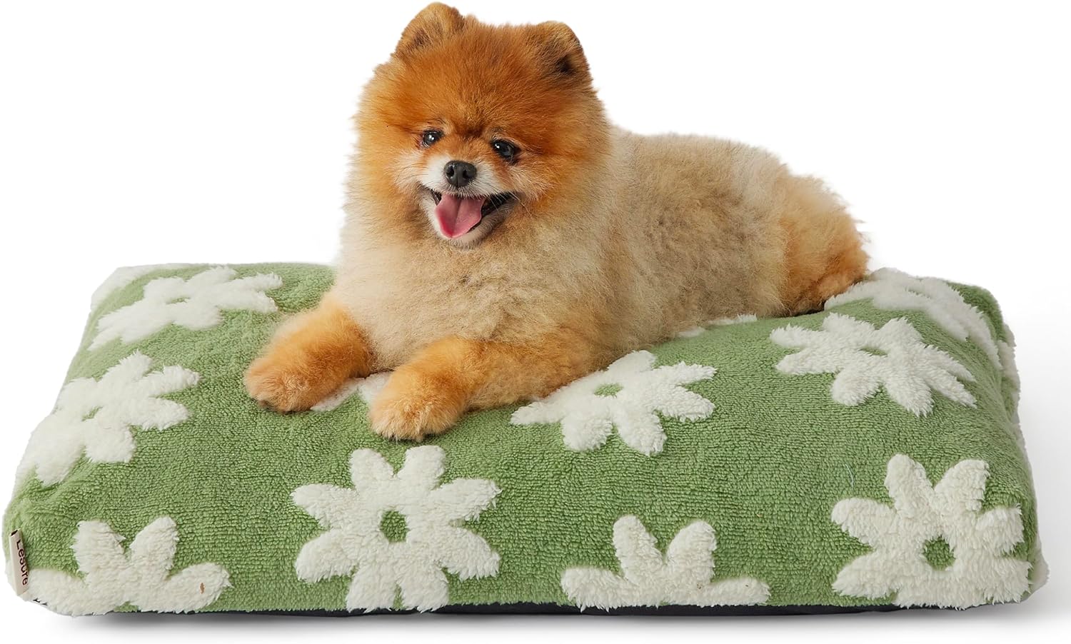 Themed Foam Dog Bed with Removable Washable Cover (Blue/Green    Flowers/Clouds)