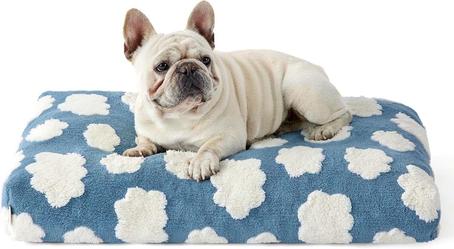 Themed Foam Dog Bed with Removable Washable Cover (Blue/Green    Flowers/Clouds)