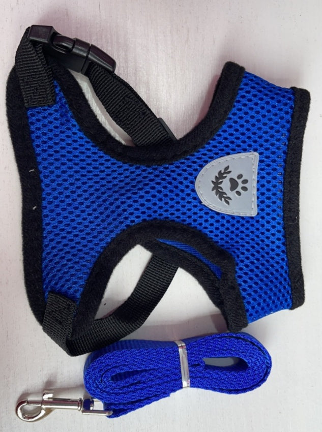 Vibrant Pet Chest Harness - 8 Colours