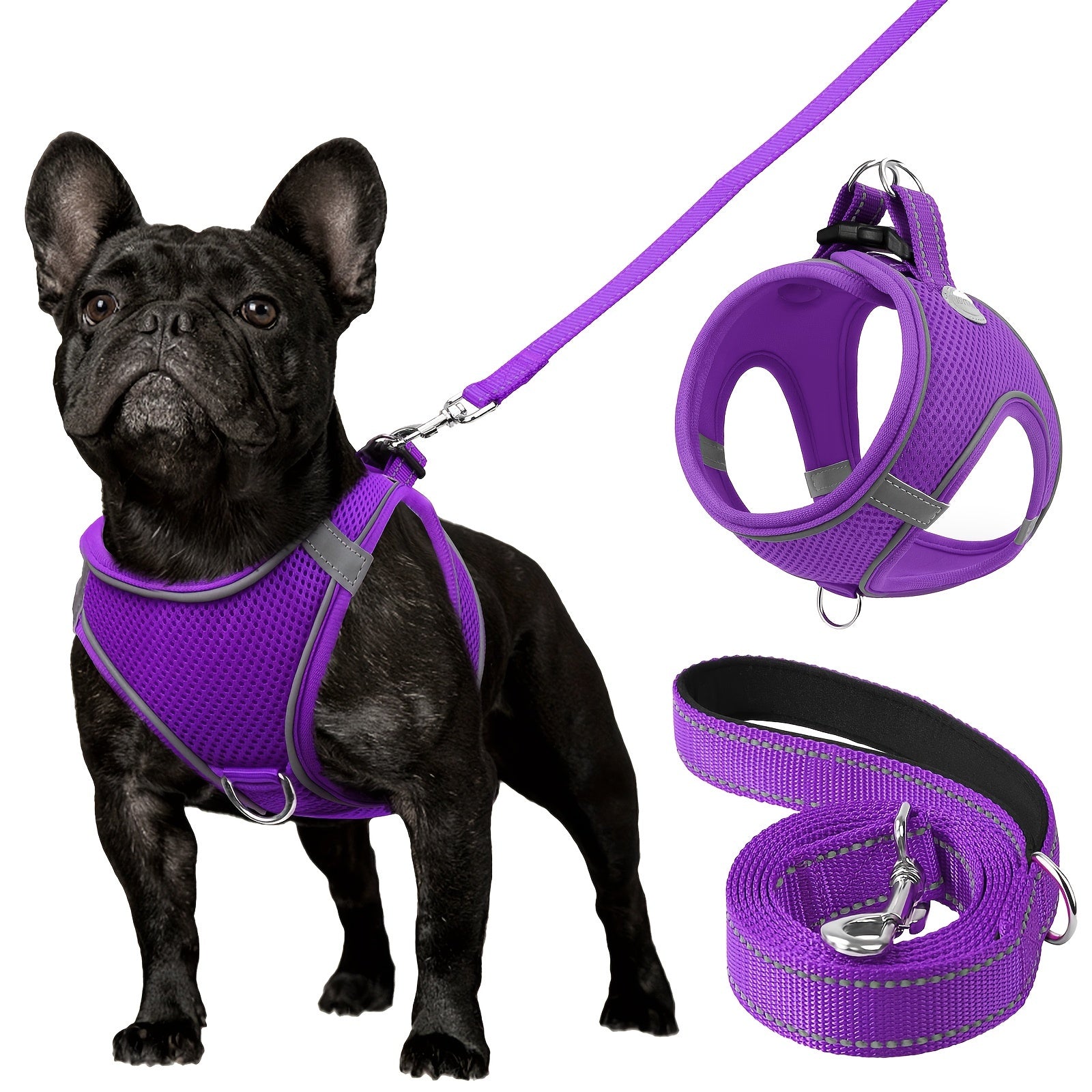 Joytale Step in Dog Harness and leash Set,Reflective Soft Padded Nylon Leash,Breathable Mesh Vest Harness and Leash for Small and Medium Dogs
