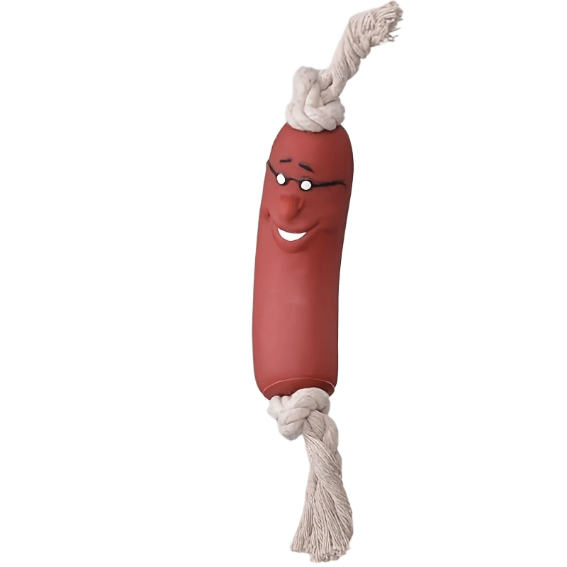 1/3pcs Dog Toys Funny Sausage Shape For Puppy Dog Chew Toys, Interactive Training Bite-resistant Grinding Teeth Dogs Pet Supplies