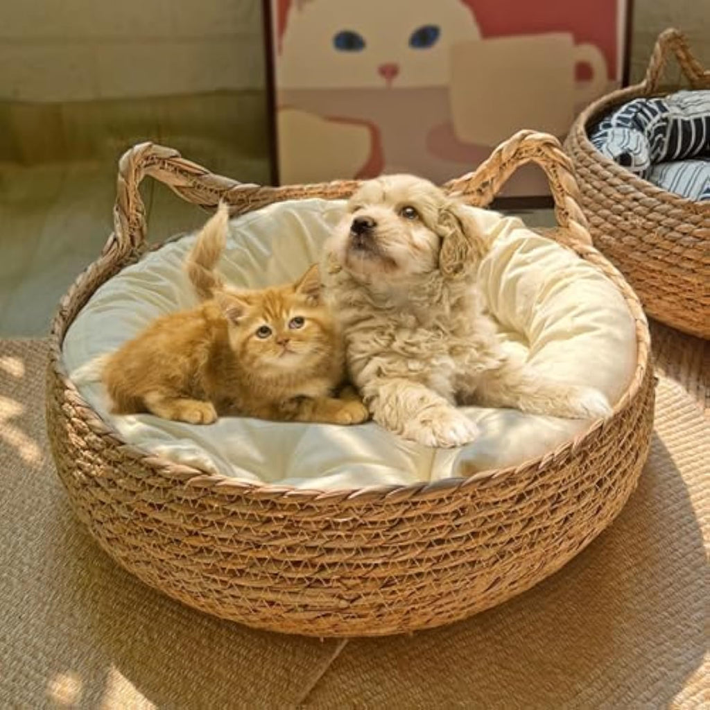 Handmade Natural Woven Cat Bed with Memory Foam Cushion- Eco-Friendly Straw Nest