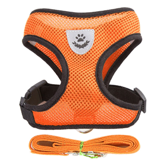 Vibrant Pet Chest Harness - 8 Colours
