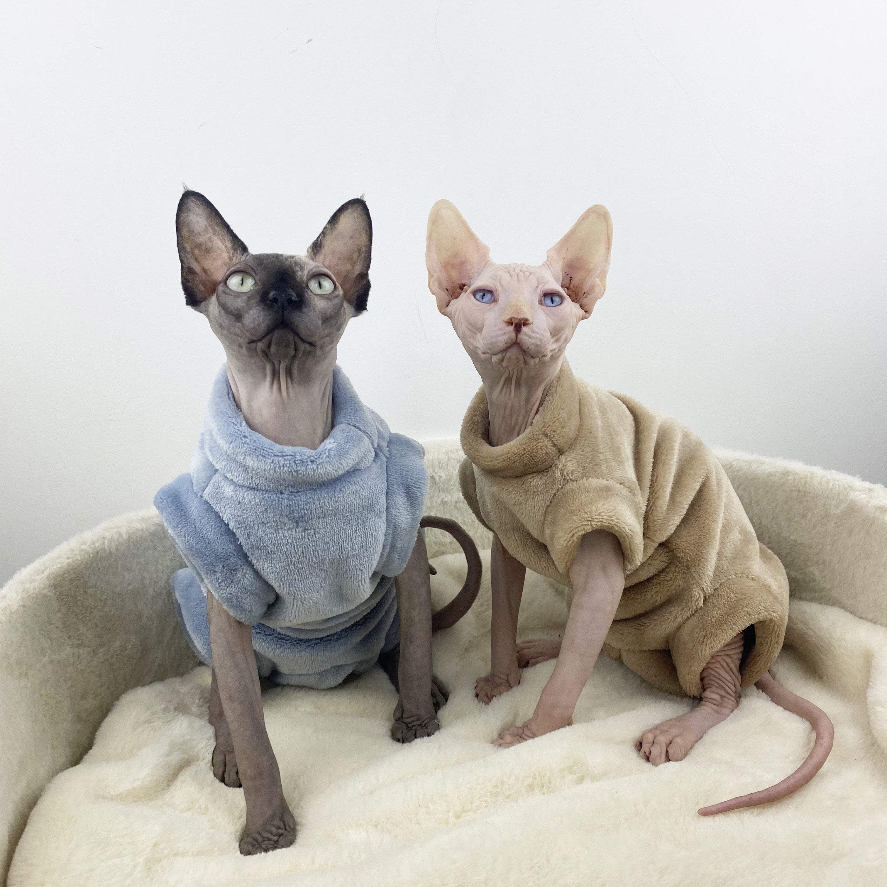 Flannel Thermal Four-Legged Jacket for Hairless Cats - Sphinx & Naked Breeds
