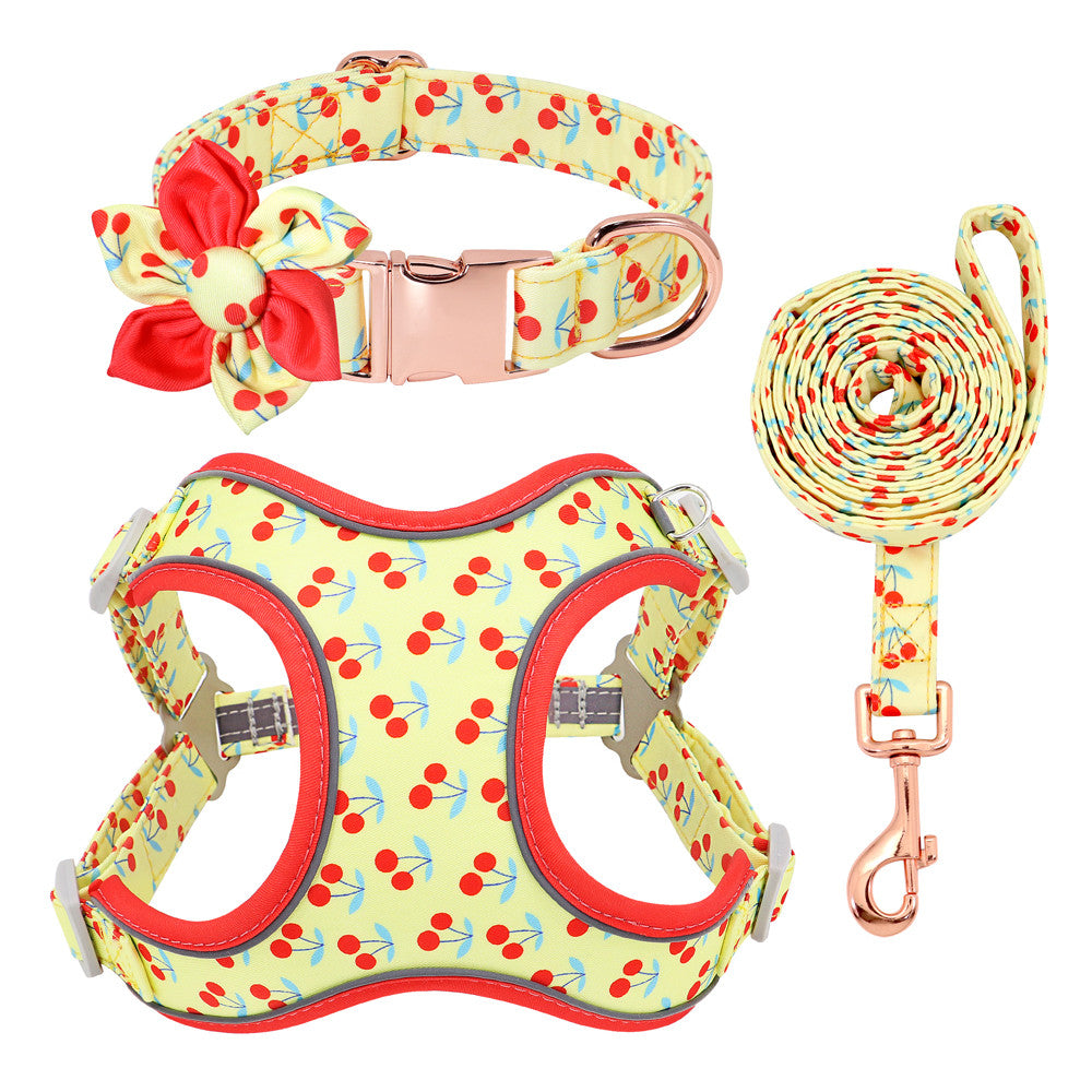 Colourful PupFruit Dog Collar & Leash Set