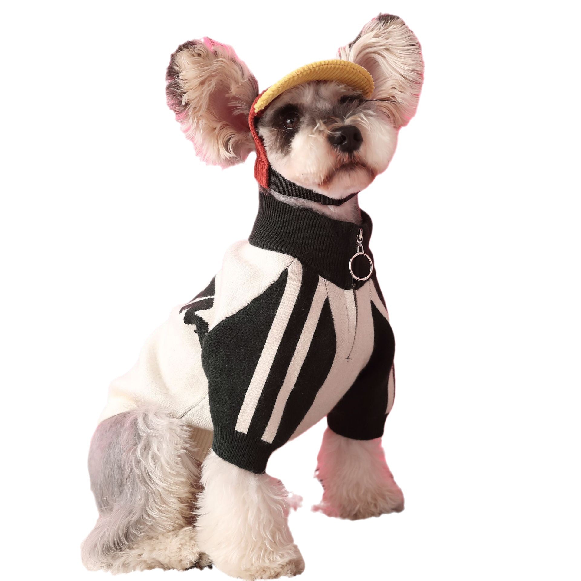 Sports Wool Dog Cardigan - Casual Style Pet Clothing