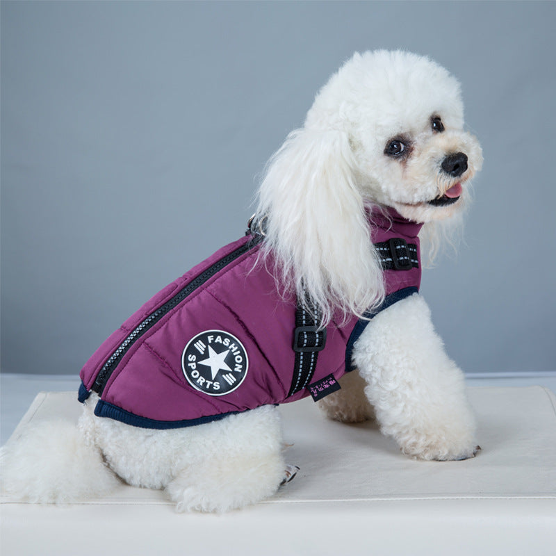 Designer Waterproof Dog Coat
