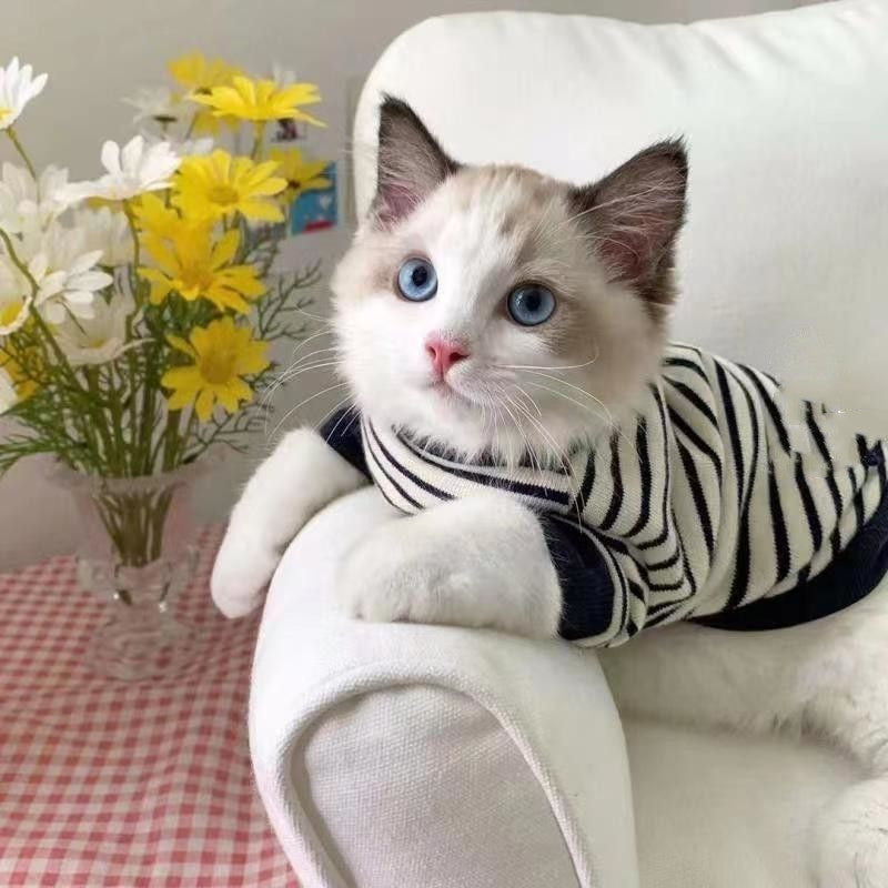 Soft Cotton Two-Legged Cat & Dog Sweater - Classic Style