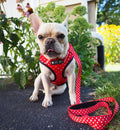 RedPooch Dog Harness | Harness, Lead or Set | S–XL