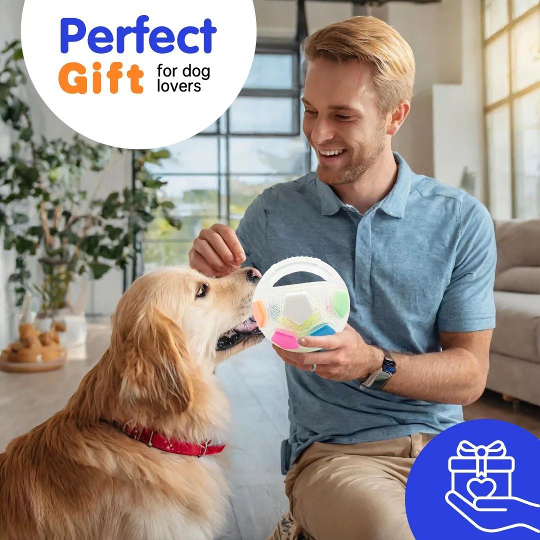 Crazy Ball Squeaky Dog Toy - Durable Teething & Training Toy for Medium to Large Dogs
