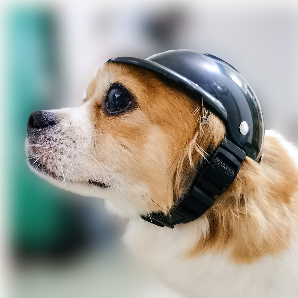 Pet Motorcycle / Bike Helmet – Adjustable Chin Strap | ABS Shell | Black | S & M