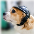 Pet Motorcycle / Bike Helmet – Adjustable Chin Strap | ABS Shell | Black | S & M