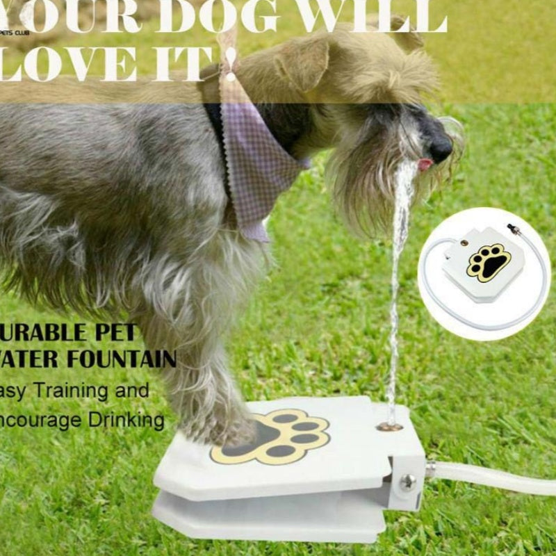 Paw-Activated Outdoor Dog Water Fountain – Hose-Connected | Iron, Stainless Steel & ABS | UK & US Fittings