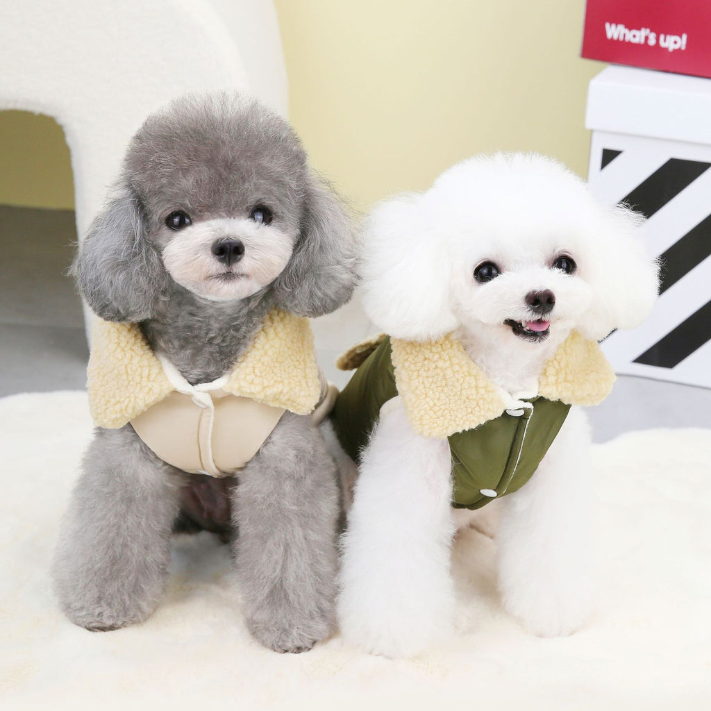 Teddy Nordic Fur Collar Cotton Vest - For Dogs & Cats (with Harness clip)