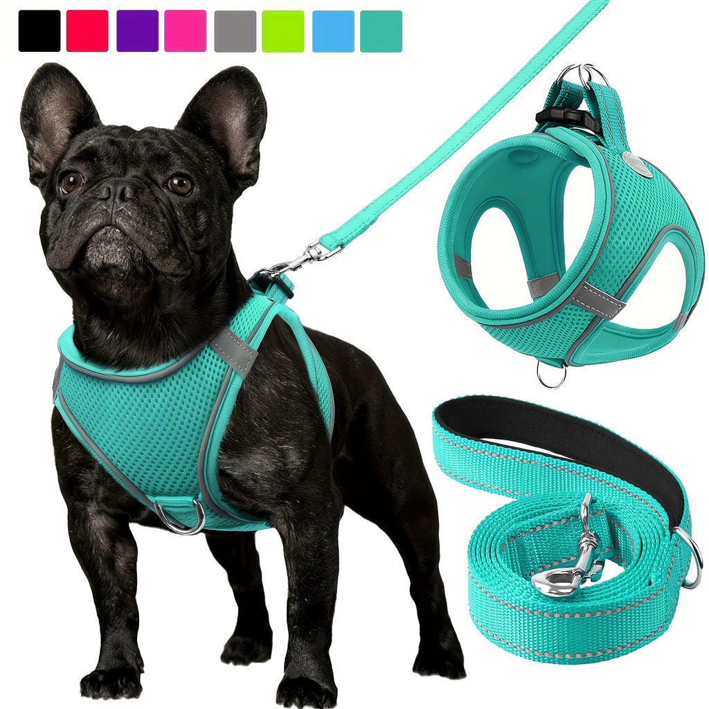 Joytale Step in Dog Harness and leash Set,Reflective Soft Padded Nylon Leash,Breathable Mesh Vest Harness and Leash for Small and Medium Dogs