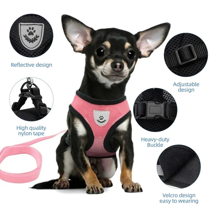 Adjustable Reflective Harness & Lead Set for Cats & Small Dogs | S, M & L
