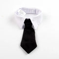 Gentleman's Beret & Tie Pet Costume – For Cats & Dogs
