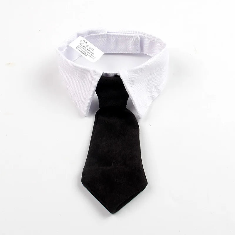 Gentleman's Beret & Tie Pet Costume – For Cats & Dogs