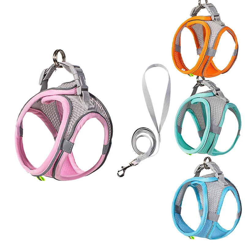 BellyRub Reflective Dog Harness – Adjustable Buckle Halter for Puppies & Small Dogs | XXS–L