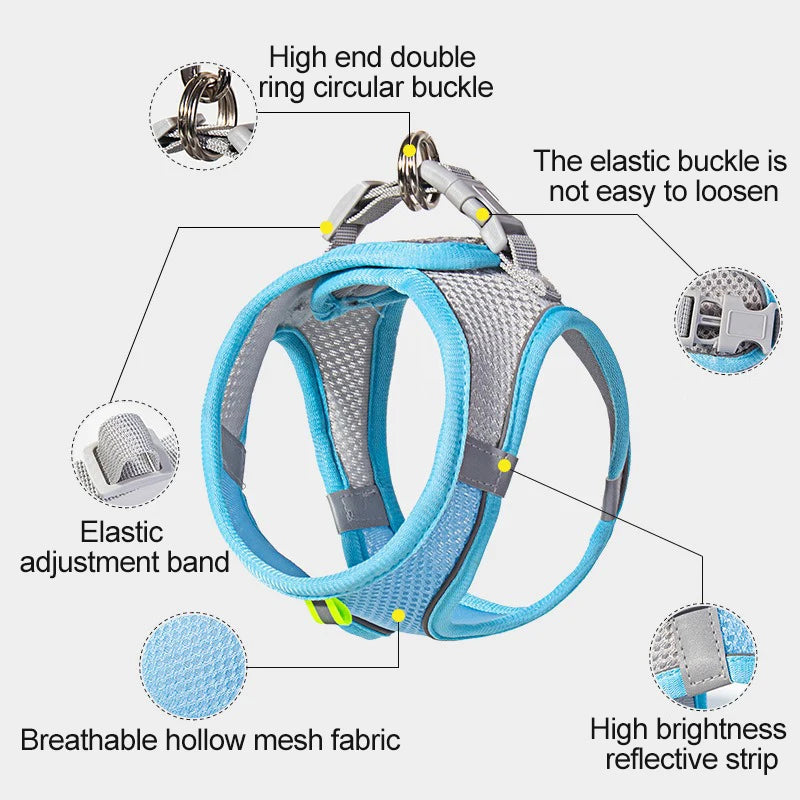 BellyRub Reflective Dog Harness – Adjustable Buckle Halter for Puppies & Small Dogs | XXS–L