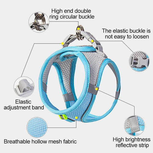 BellyRub Reflective Dog Harness – Adjustable Buckle Halter for Puppies & Small Dogs | XXS–L