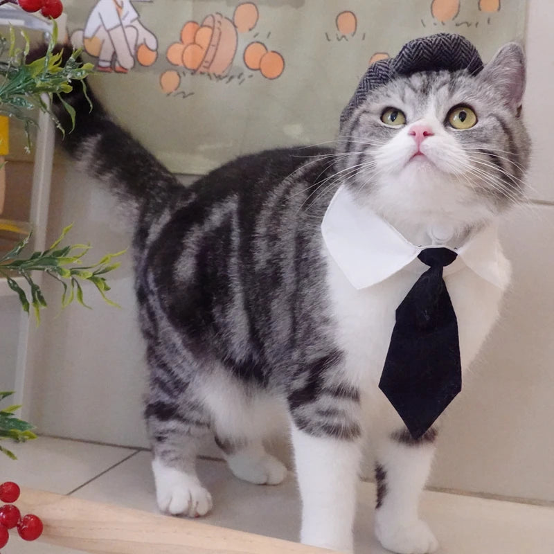 Gentleman's Beret & Tie Pet Costume – For Cats & Dogs