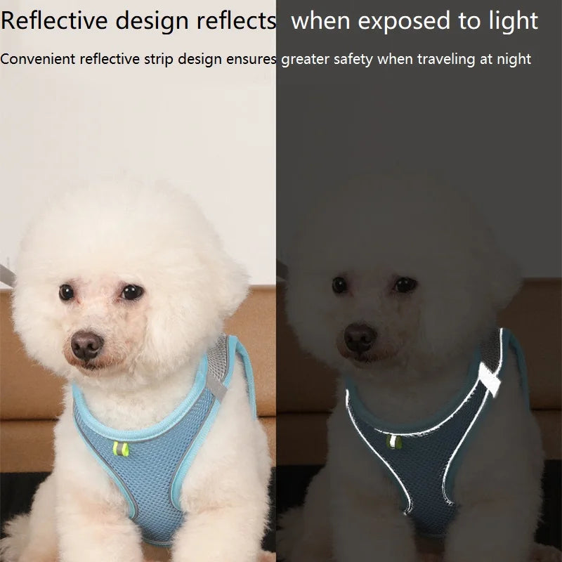 BellyRub Reflective Dog Harness – Adjustable Buckle Halter for Puppies & Small Dogs | XXS–L