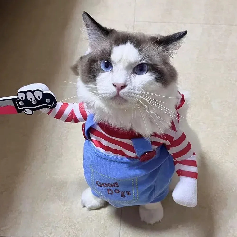 Funny Cat Costume – Clothing for Cats & Dogs