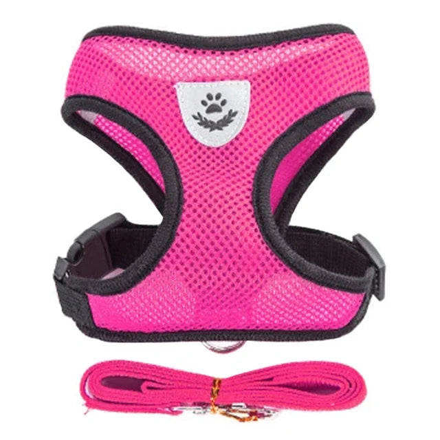 Adjustable Reflective Harness & Lead Set for Cats & Small Dogs | S, M & L