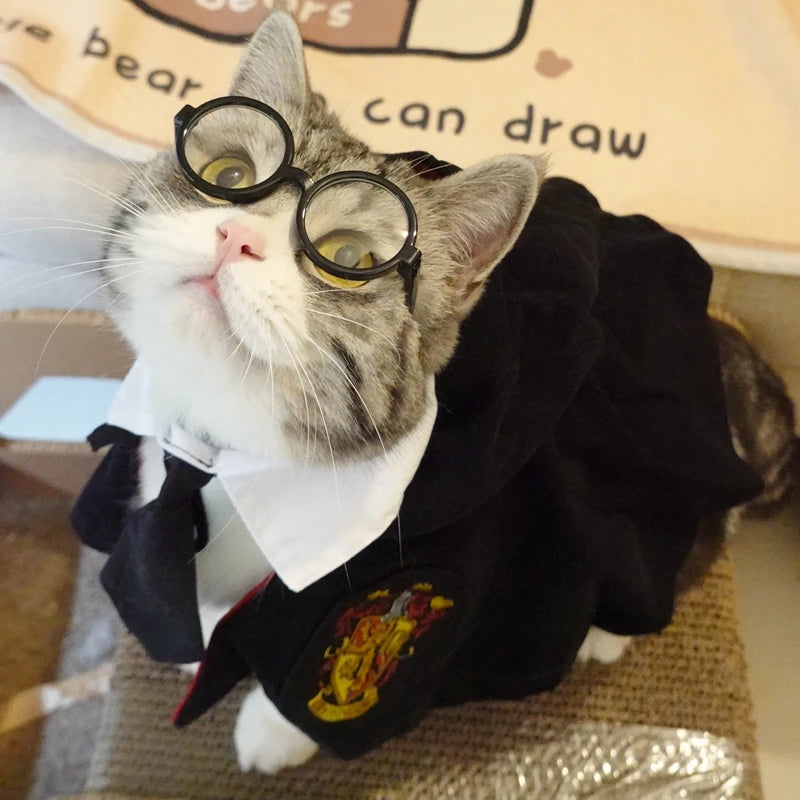 Gentleman's Beret & Tie Pet Costume – For Cats & Dogs