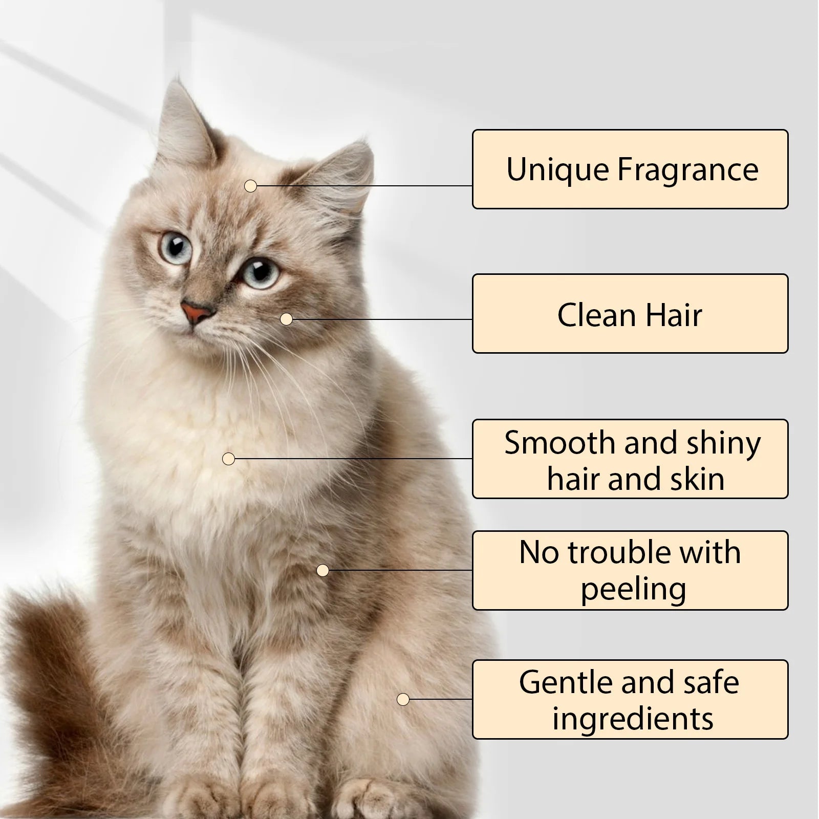 Anti-Flea Dog Shampoo – Mite & Dirt Removal Formula
