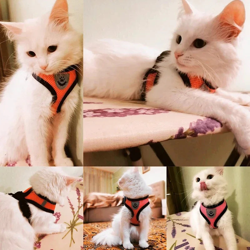 Adjustable Reflective Harness & Lead Set for Cats & Small Dogs | S, M & L