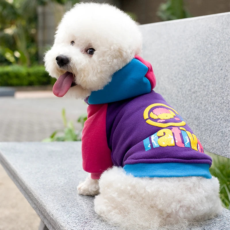 Lightweight Windproof Dog Hoodie – Warm Winter Coat for Small Dogs | Sizes 8–14