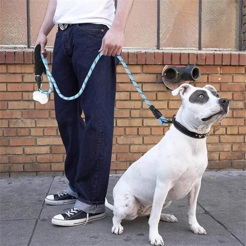 Reflective Nylon Dog Lead – Padded Handle, Heavy Duty Double Rope | 1.5m, 2m & 3m
