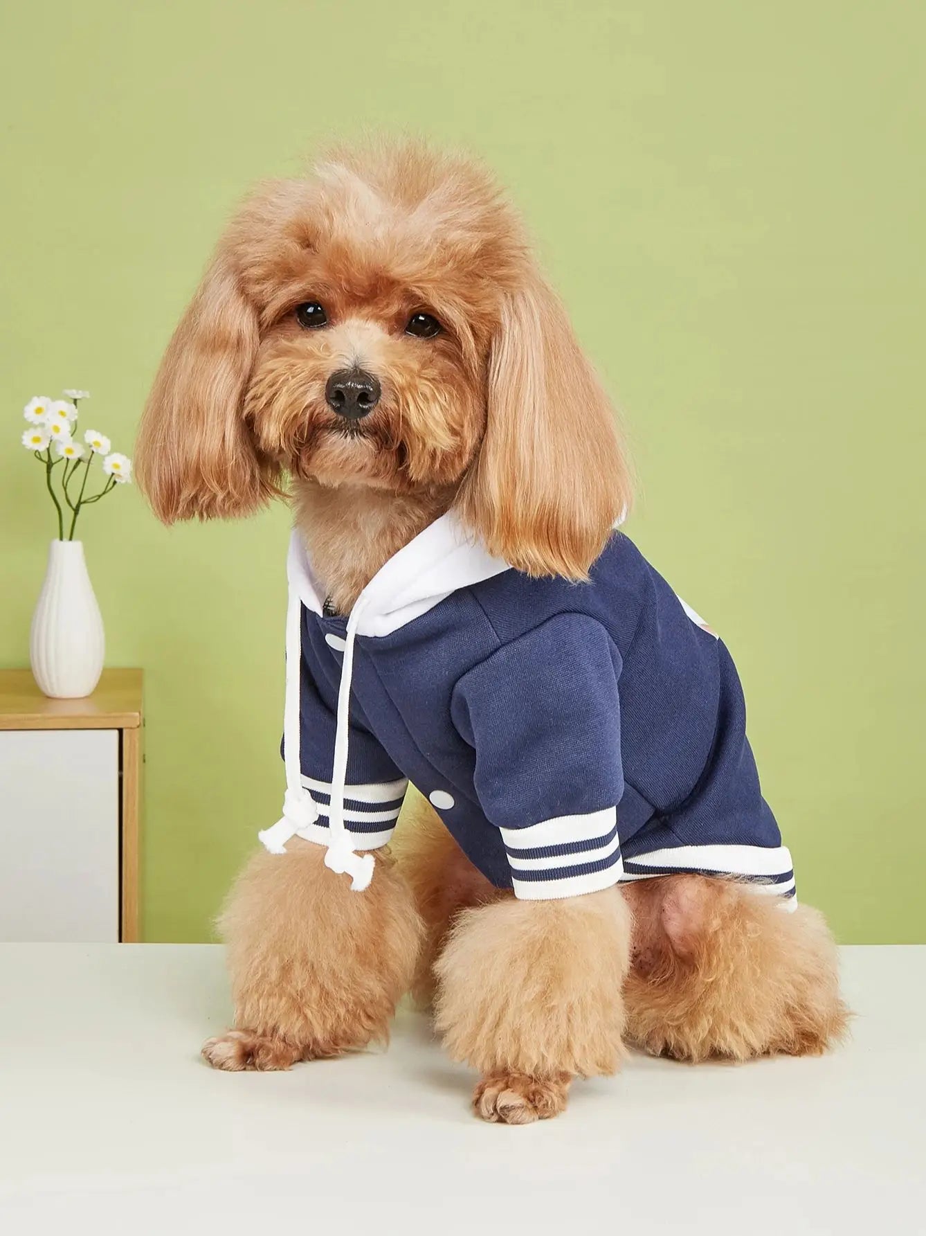 Running Bear Nasa Dog Jacket with Hat – Pet Coat