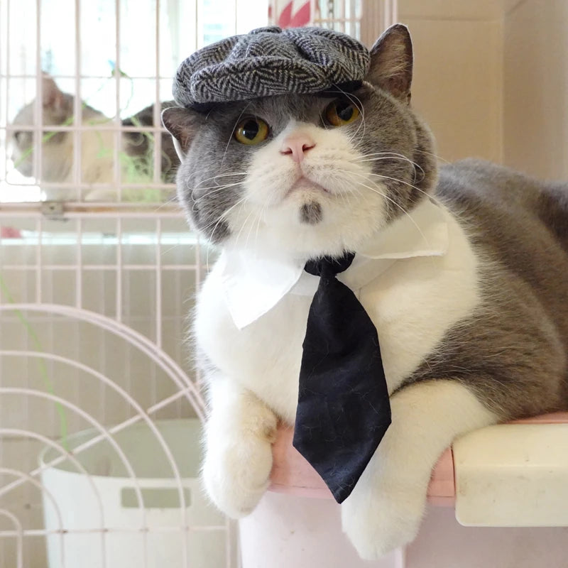 Gentleman's Beret & Tie Pet Costume – For Cats & Dogs