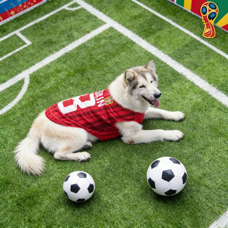World Cup Football Jersey Pet T-Shirt – Breathable Mesh Vest (7 Country Options / All sizes)