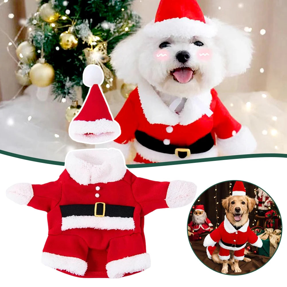 Dog Christmas Costume – Festive Holiday Outfit for Dogs