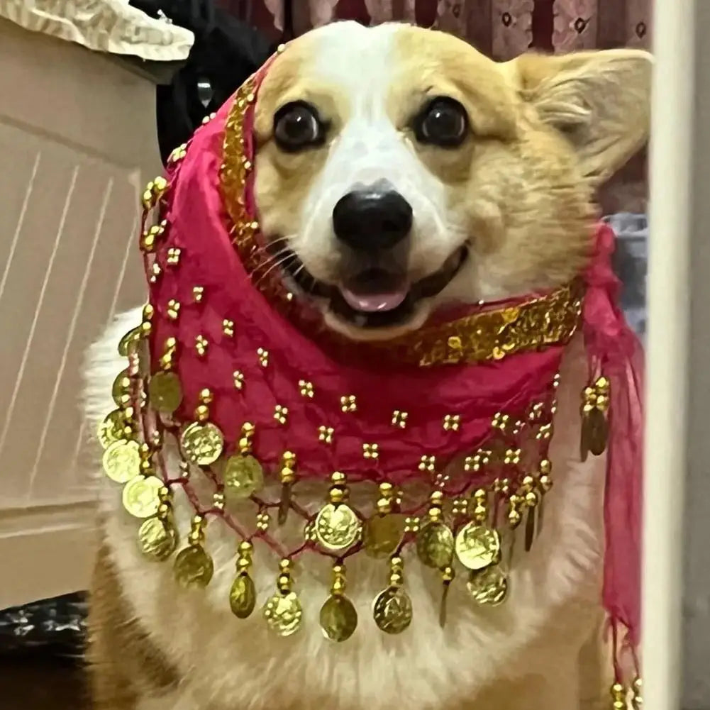 Pet Belly Dance Hip Scarf & Booty Decoration – Sequin Pet Costume