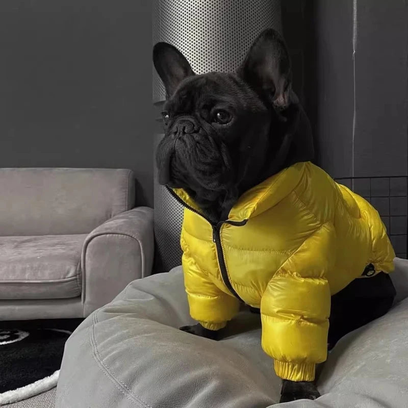Luxury Dog Puffer Coat  – Warm Polyester Jacket for Stocky Breeds | M–XXL