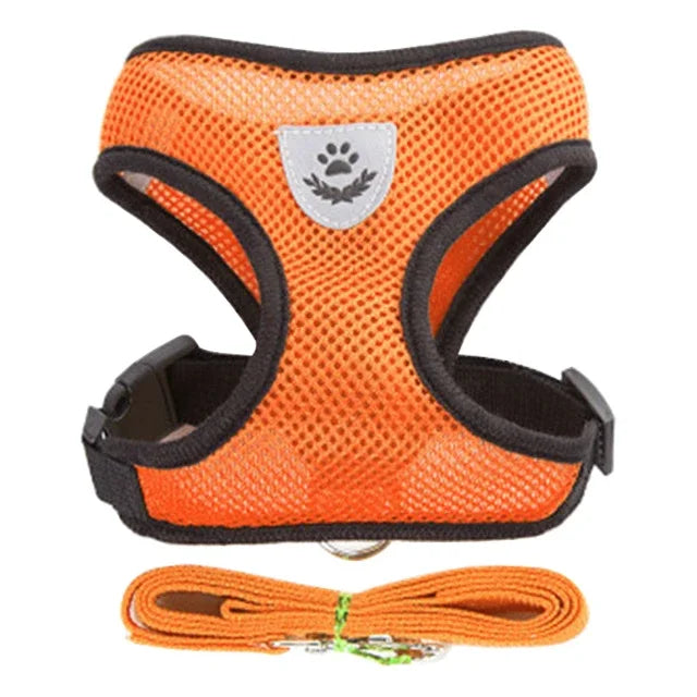 Adjustable Reflective Harness & Lead Set for Cats & Small Dogs | S, M & L