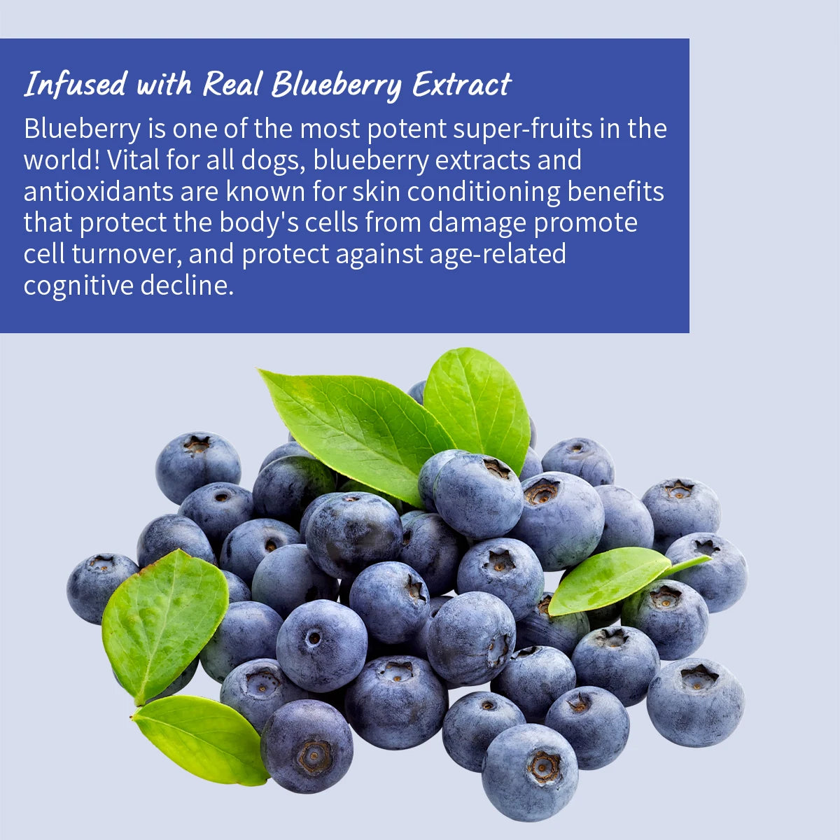 Professional Dog Whitening Shampoo – Blueberry Brightening Formula