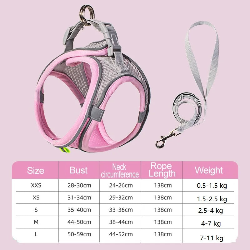 BellyRub Reflective Dog Harness – Adjustable Buckle Halter for Puppies & Small Dogs | XXS–L