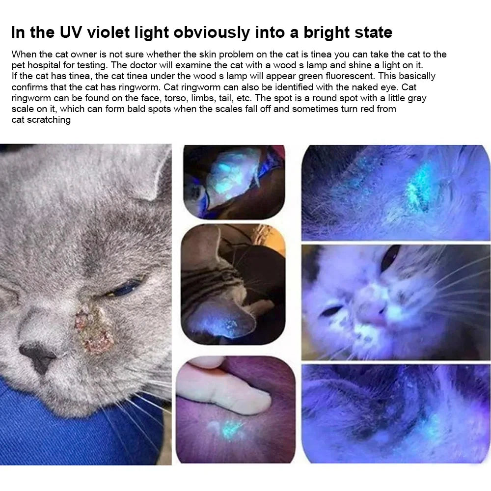 UV Pet Fungus Detection Lamp – Waterproof Veterinary Wood Lamp