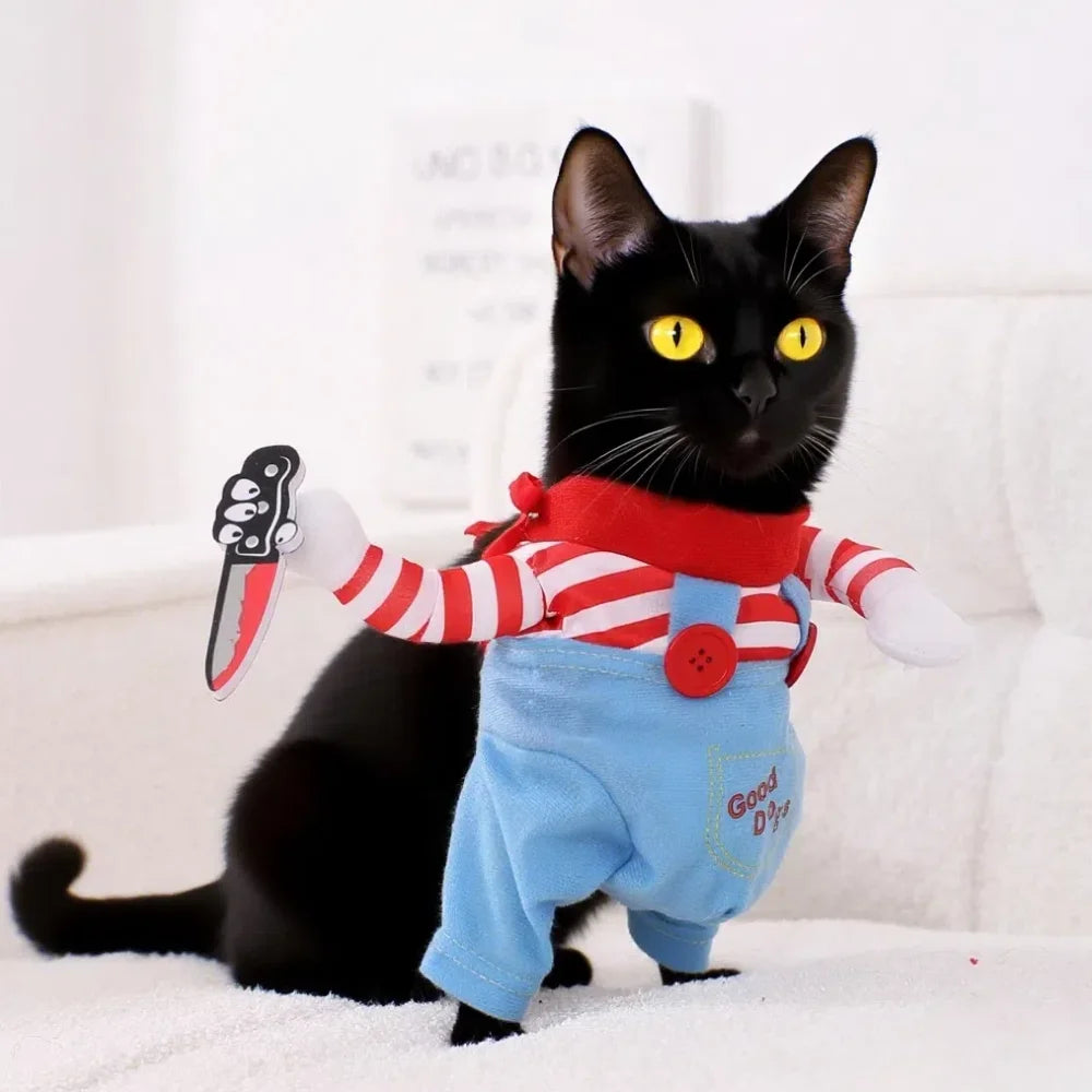 Funny Cat Costume – Clothing for Cats & Dogs