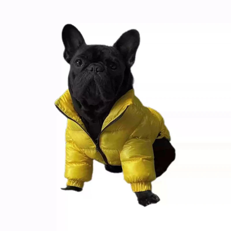 Luxury Dog Puffer Coat  – Warm Polyester Jacket for Stocky Breeds | M–XXL