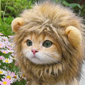 Lion Mane Headgear Pet Costume – Adjustable Funny Dress-Up Accessory