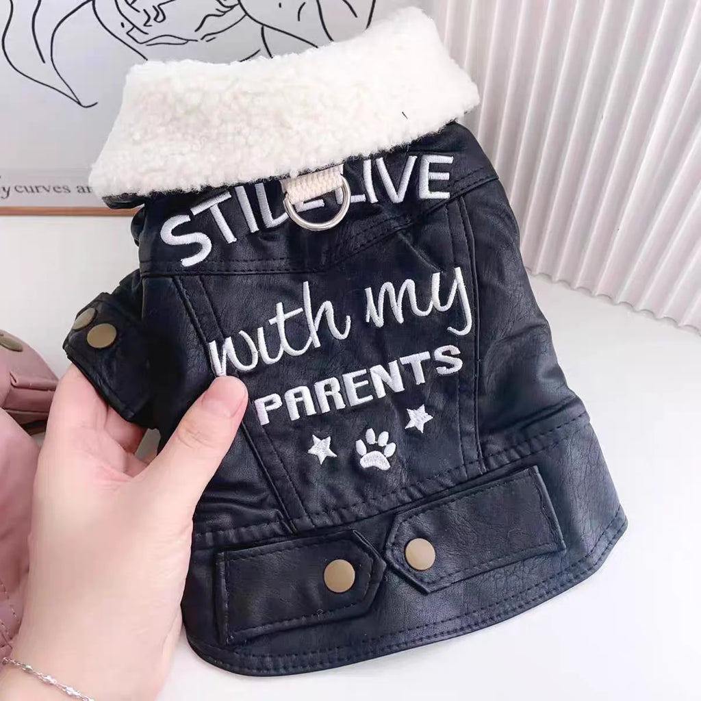 Waterproof Leather Dog Down Jacket – Winter Coat for Small & Medium Dogs
