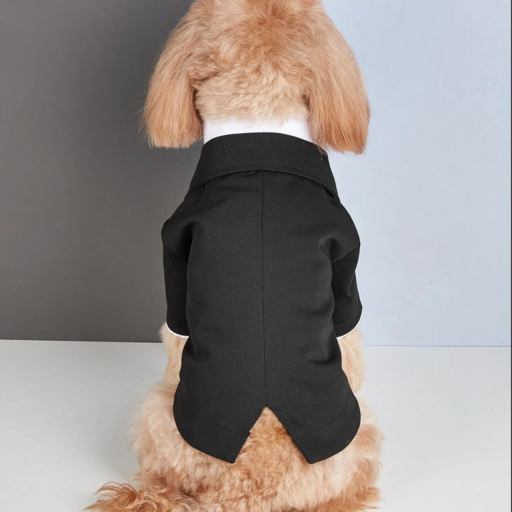 Dog Tuxedo Formal Suit – Classic Fashion Wear for Small Dogs